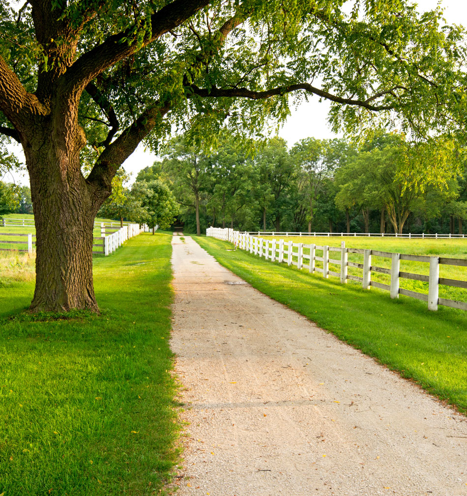 Farm